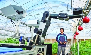 盤(pán)點(diǎn)農(nóng)用智能機(jī)器人:機(jī)器人鋤草效率增60倍-科教臺(tái)-中國(guó)網(wǎng)絡(luò)電視臺(tái)